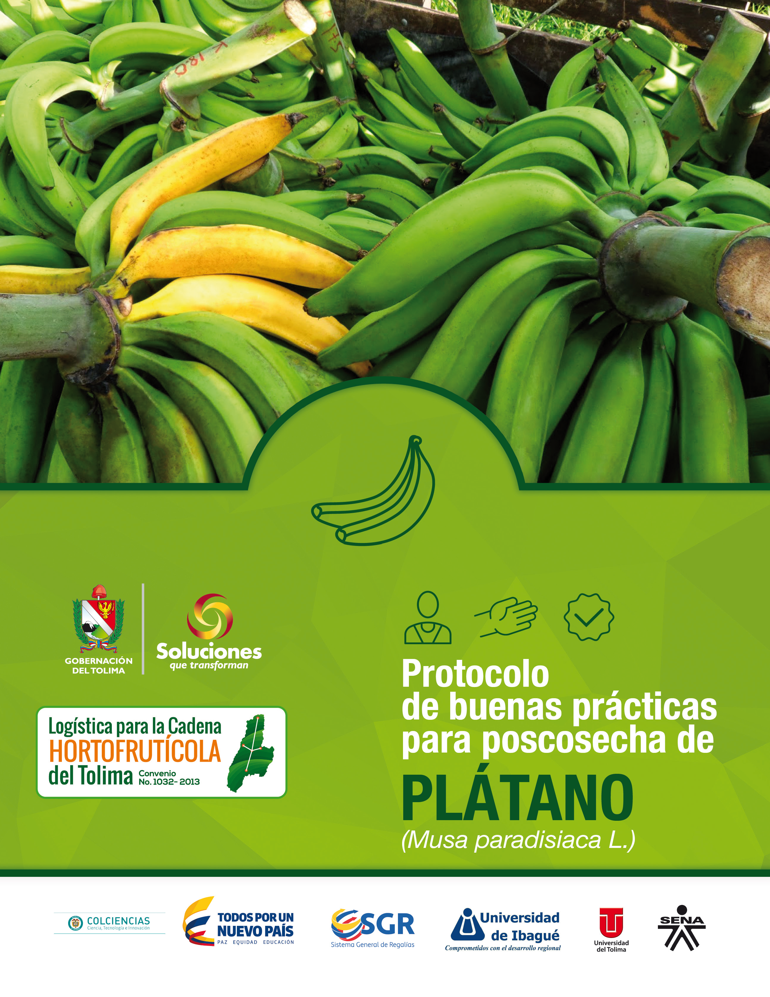 Cover of Protocolo de buenas prácticas para poscosecha de plátano 